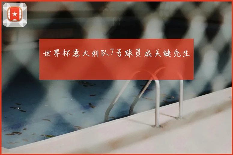 世界杯意大利队7号球员成关键先生