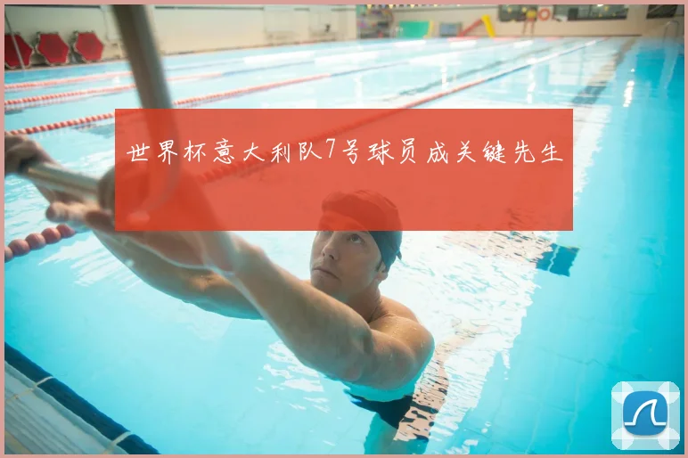 世界杯意大利队7号球员成关键先生