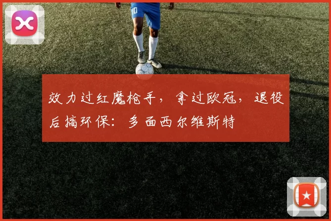 效力过红魔枪手,拿过欧冠,退役后搞环保:多面西尔维斯特